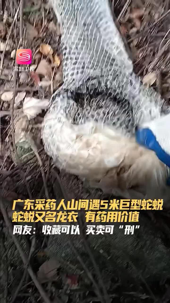 根植浙大科研，引领室内健康——浙江冰虫环保科技发展纪实